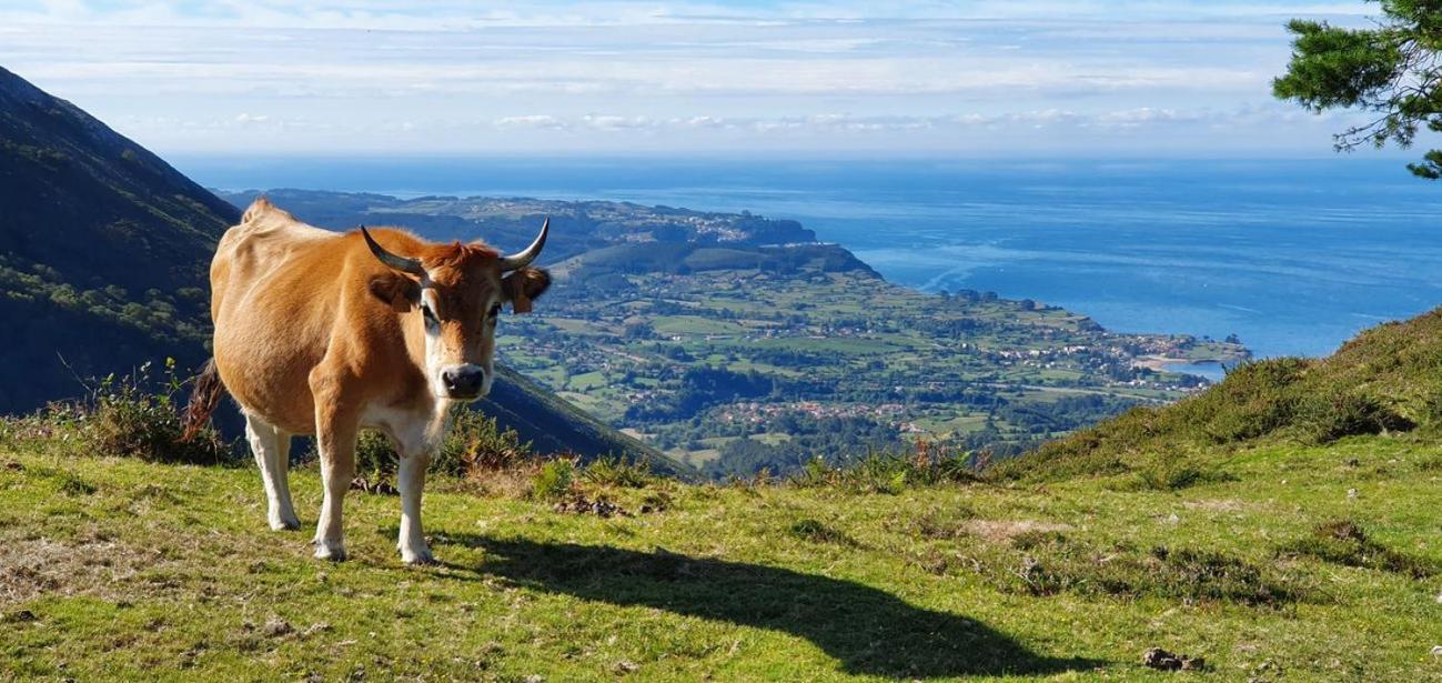Duplex Con Vistas Al Picu Pienzu, Colunga Lägenhet Exteriör bild